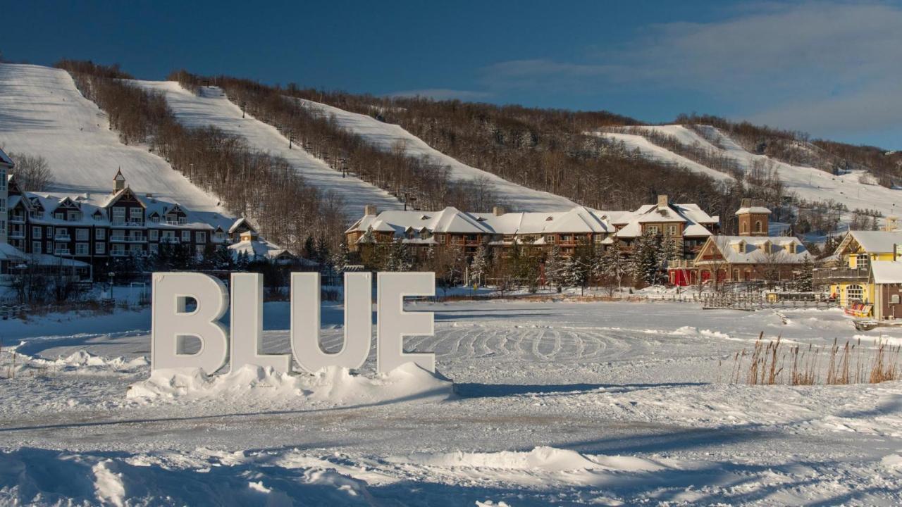 Stunning Townhouse - 3 Bdrm Blue Mountain Village Sauna! Blue Mountains Exterior foto